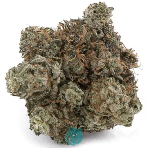 yellowstone a nug