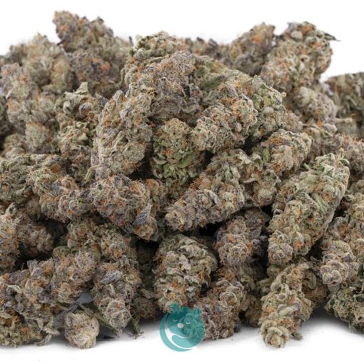 Wholesale - Zookies - Craft