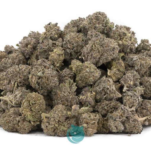 Wholesale - Bazookies - A