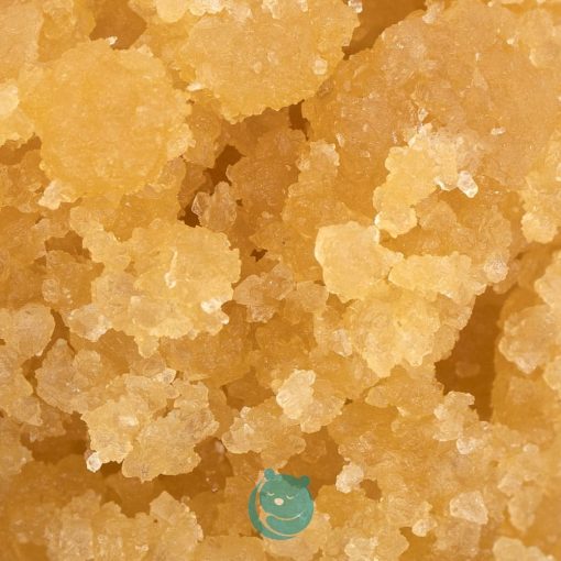 diamond & sauce champagne diesel