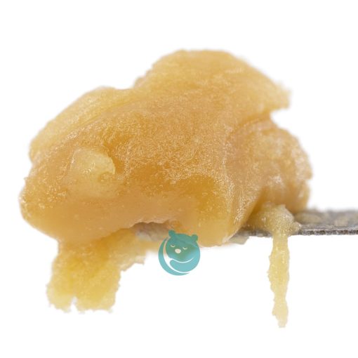 live resin blueberry cookie