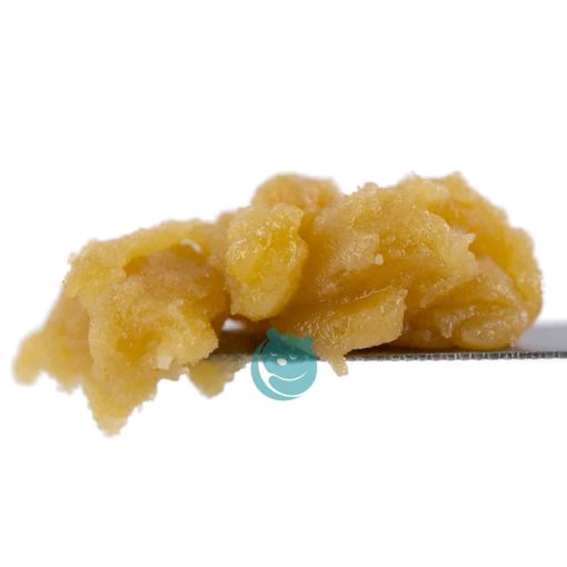 live resin gorilla glue