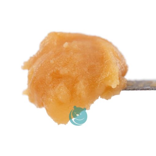 live resin jack herer