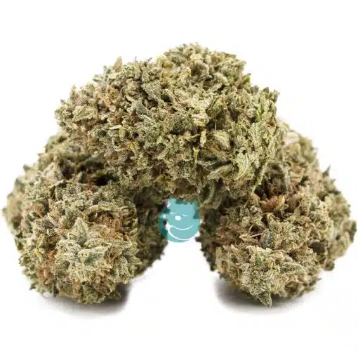 mku aa three nug