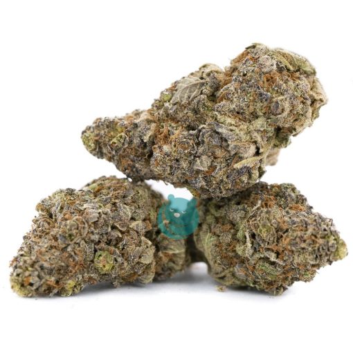 area 41 aa thee nug
