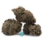 black roses a three nug