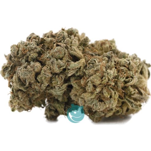 blue bastard a nug