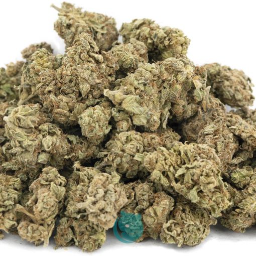 Wholesale - Blue Bastard - A