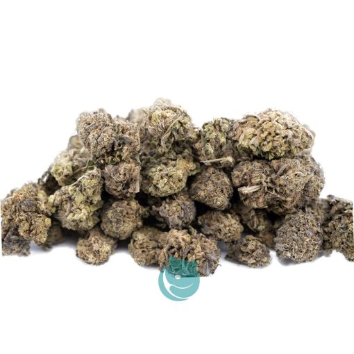 Wholesale - Cookie Jar - A