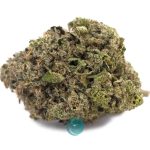 dank sinatra aa nug