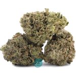 dank sinatra aa three nug