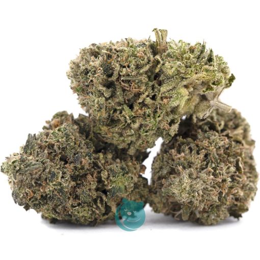 dank sinatra aa three nug