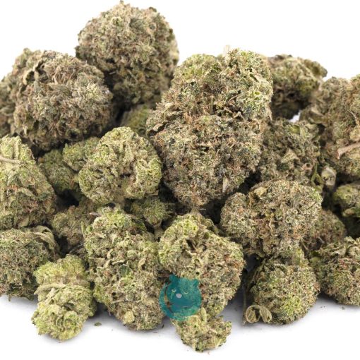 dank sinatra aa wholesale