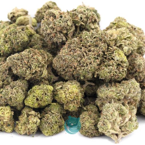 dismond dust aa wholesale