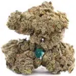 el fuego blanco a three nug