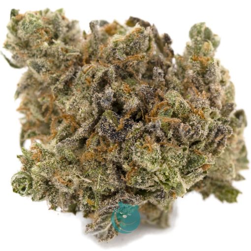fuelato aa nug