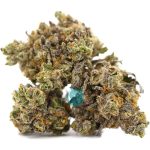 fuelato aa three nug