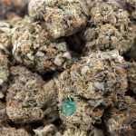 Wholesale - Gas Mask - AAA