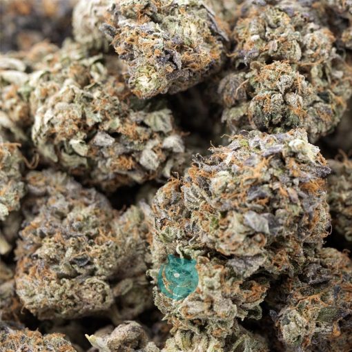 Wholesale - Gas Mask - AAA