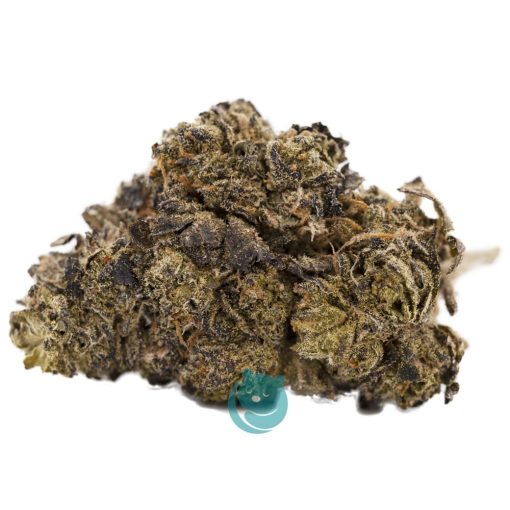 gelato a nug