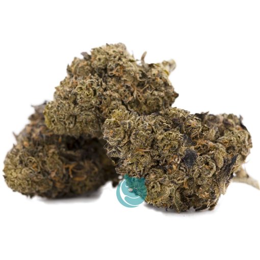 gelato a three nug