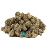 gelato a wholesale