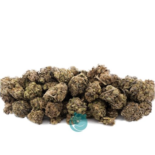 Wholesale – Jamaican Dream - A
