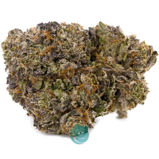 master yoda aaaa nug