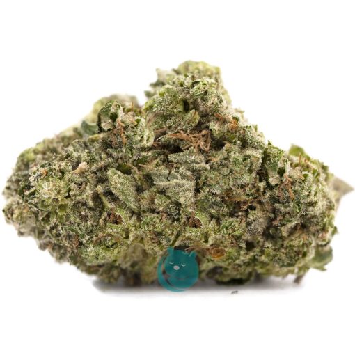 mindscape aa nug