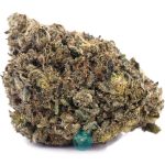 og18 aaaa nug