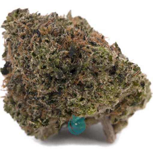 Papaya Punch AA - Indica