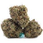papaya punch aa three nug