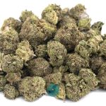 Wholesale - Papaya Punch - AA