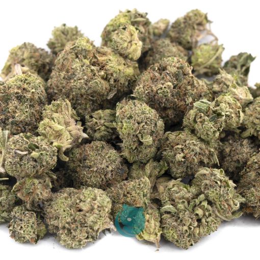 Wholesale - Papaya Punch - AA