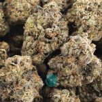 Wholesale – Pink Bubba - AAA