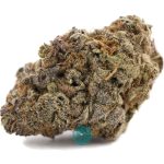 platinum nasa a nug