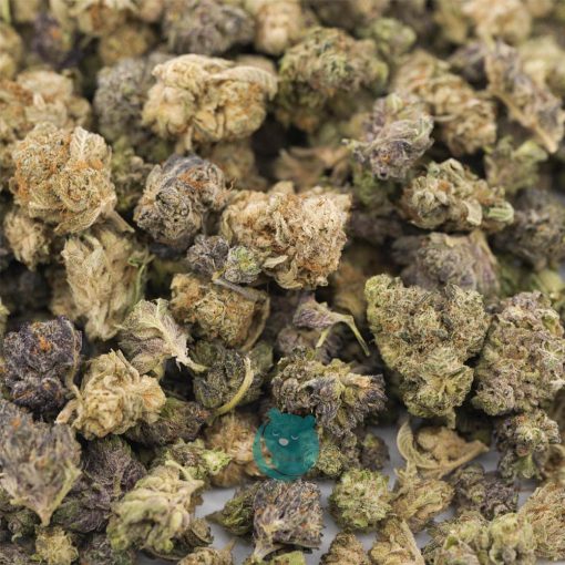 Rockstar A Popcorn - Indica