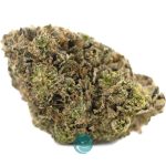 power nap aa nug