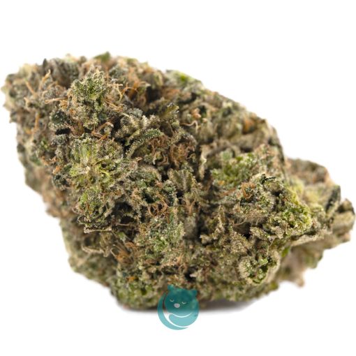 power nap aa nug