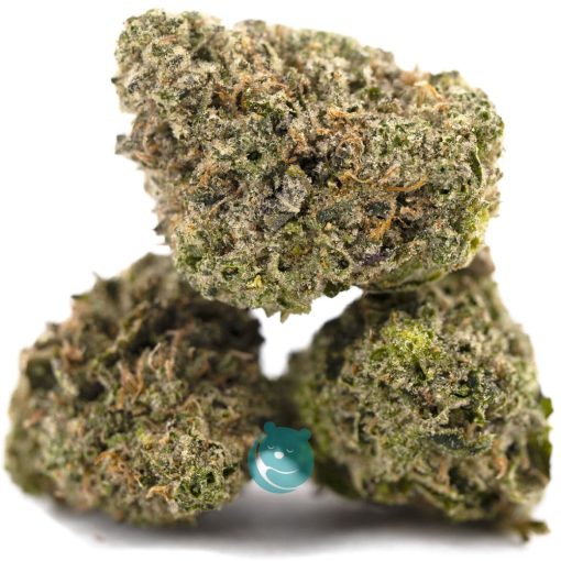 power nap aa three nug