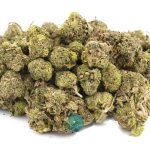 Wholesale - Power Nap - AA