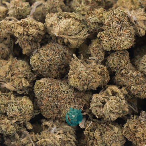 purple kush a wholesale