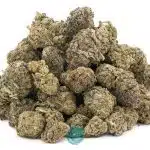thin mint girl scout cookies aa wholesale