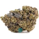 kush master aaa nug