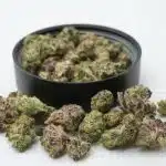 Specialty - Rainbow Pack - Ounce of Mixed Bud