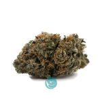 Ghost Rider OG A - Hybrid