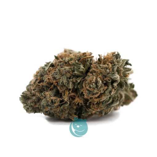 Ghost Rider OG A - Hybrid