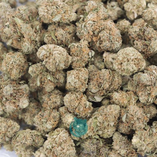 ghost rider og aa wholesale