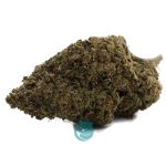 Harlequin AAA - Sativa