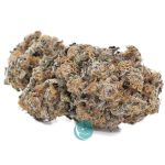 ice age craft nug